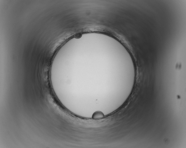 X0000111650010200908071420