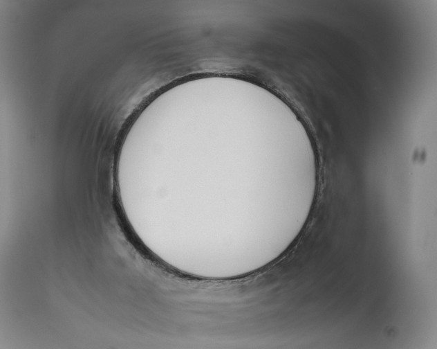 X0000111650011200908071420