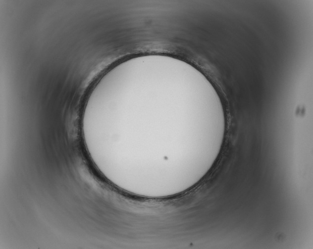 X0000111650012200908071420