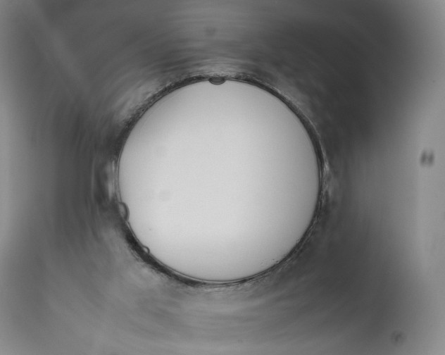 X0000111650013200908071420