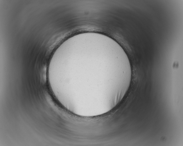 X0000111650014200908071420
