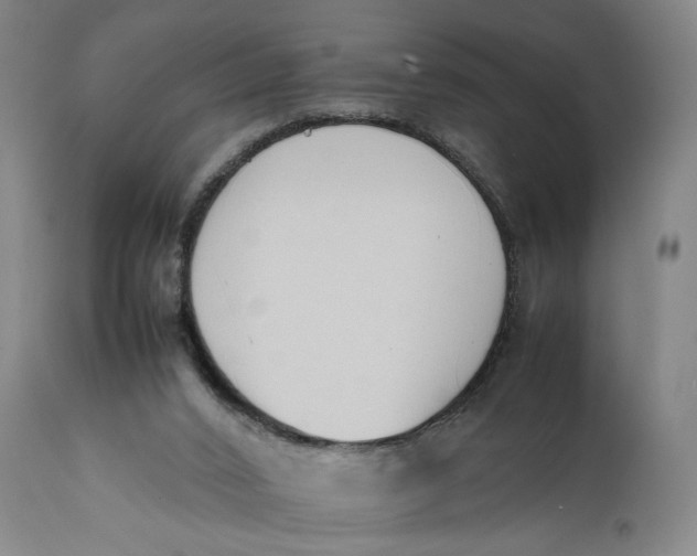 X0000111650016200908071420
