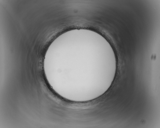 X0000111650017200908071420