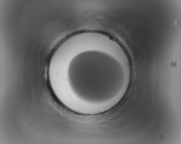 X0000111650019200908071420