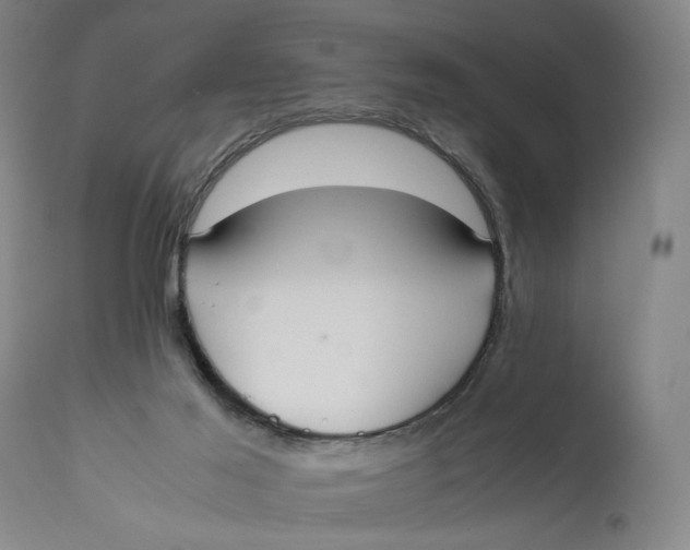 X0000111650021200908071420
