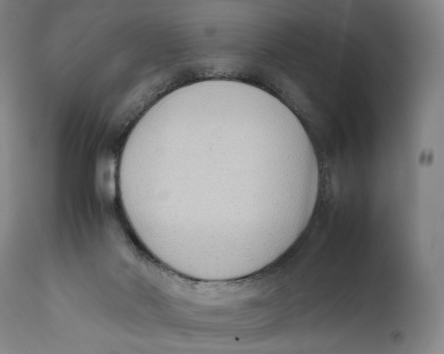 X0000111650022200908071420