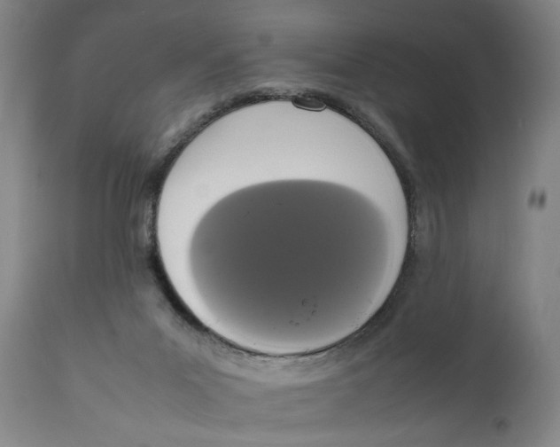X0000111650023200908071420