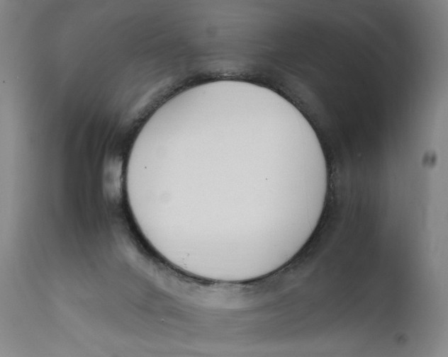X0000111650024200908071420