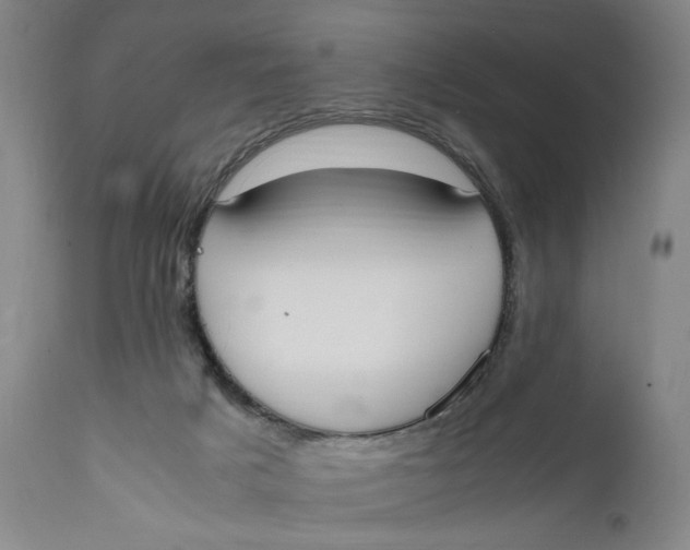 X0000111650025200908071420