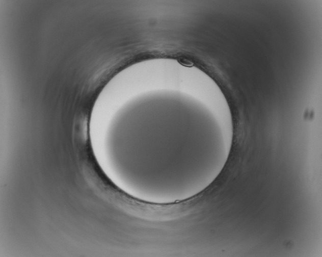 X0000111650027200908071420