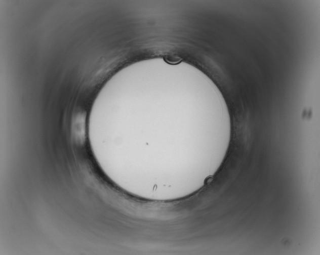 X0000111650028200908071420