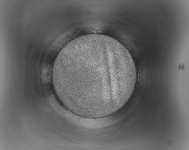 X0000111650030200908071420