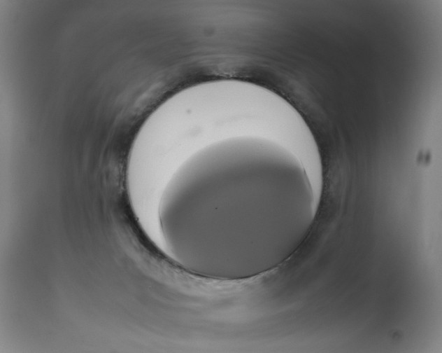 X0000111650031200908071420