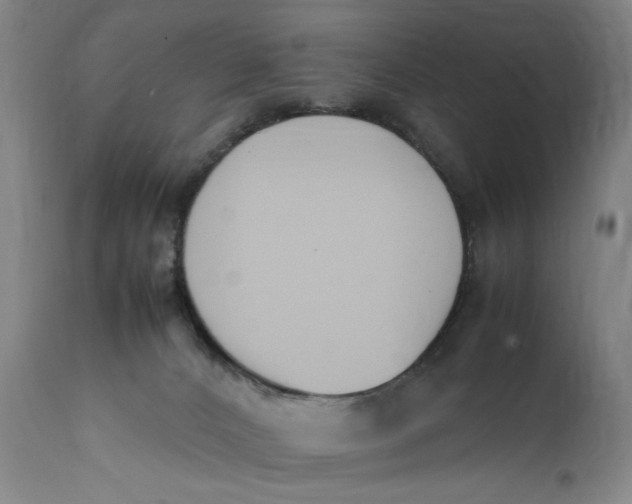 X0000111650032200908071420