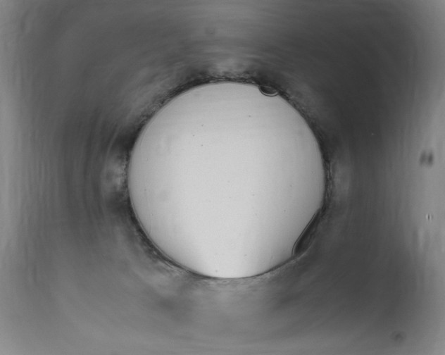 X0000111650033200908071420