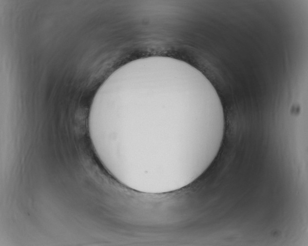 X0000111650034200908071420