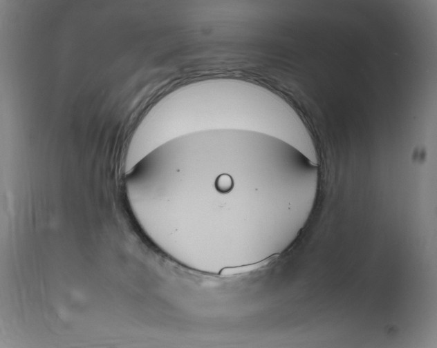 X0000111650035200908071420