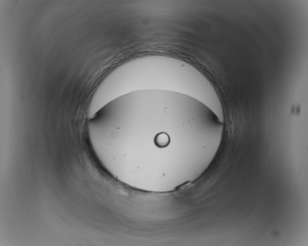 X0000111650036200908071420