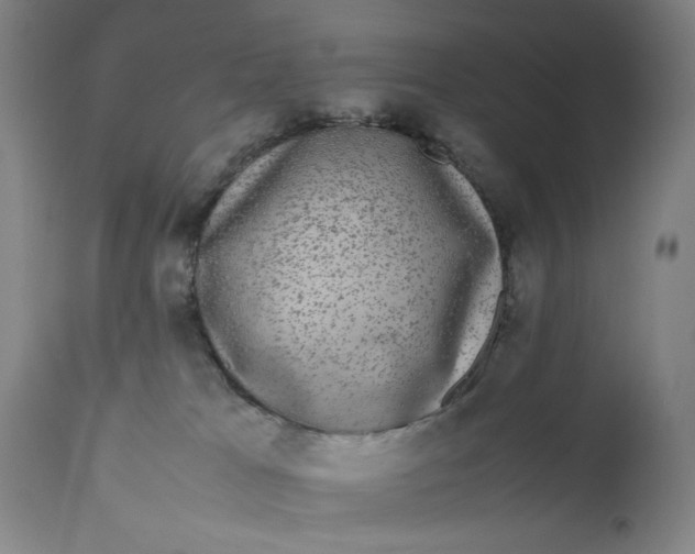 X0000111650037200908071420