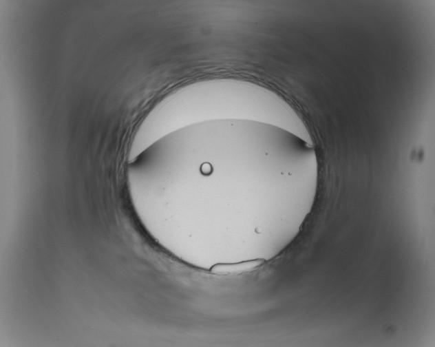 X0000111650039200908071419