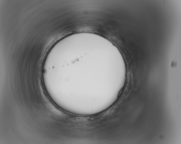 X0000111650049200908071419