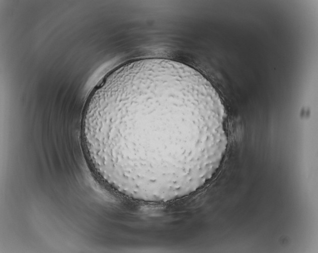 X0000111650051200908071419