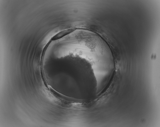 X0000111650052200908071419