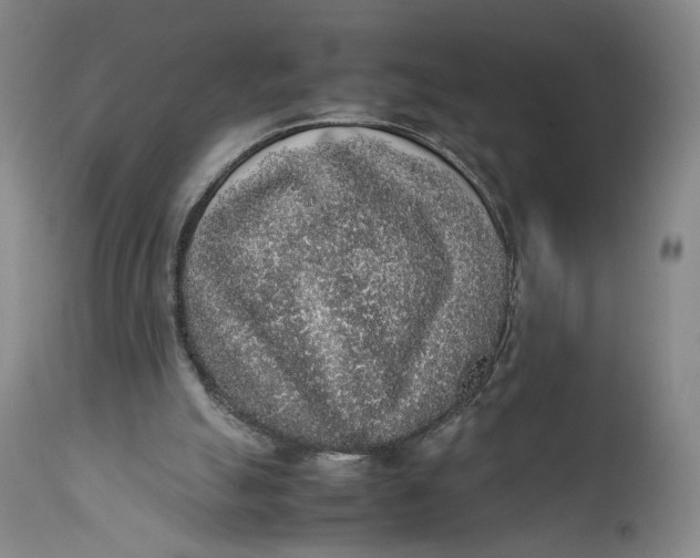 X0000111650055200908071419