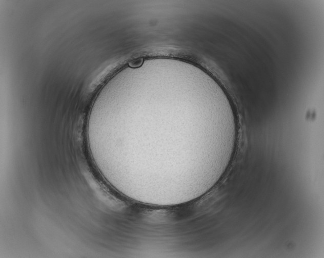 X0000111650058200908071419