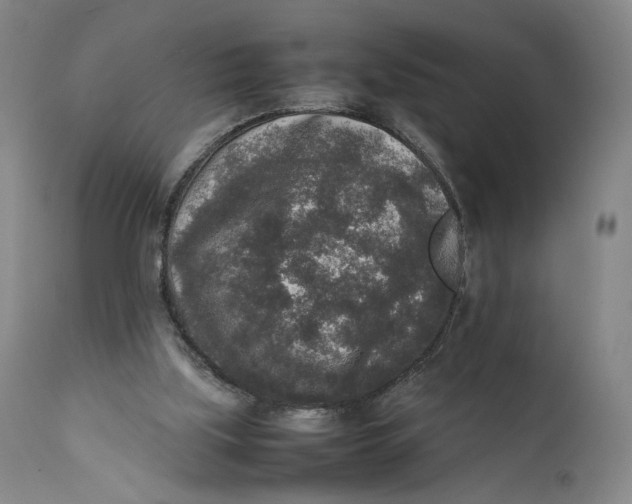 X0000111650059200908071419