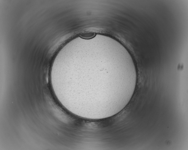 X0000111650062200908071419