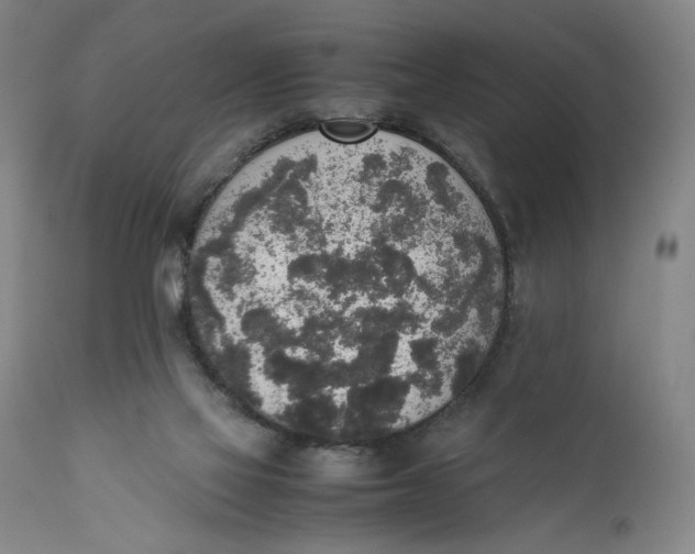 X0000111650069200908071419