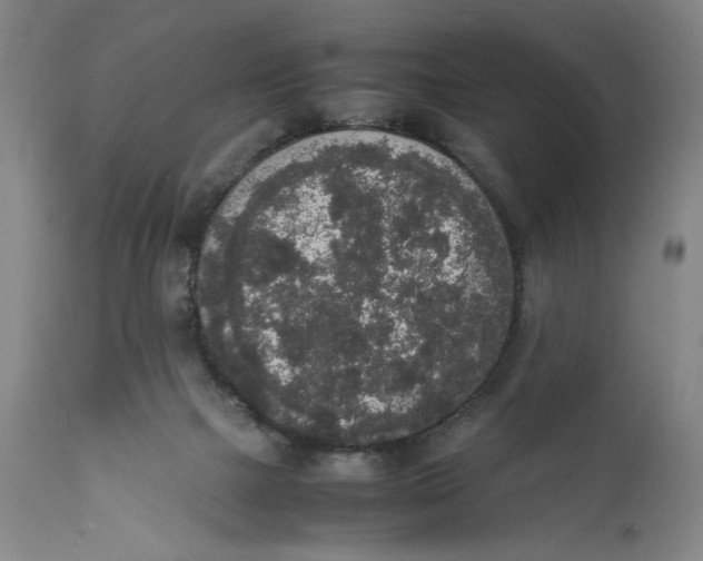 X0000111650073200908071419