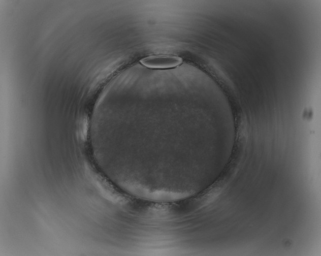 X0000111650076200908071419