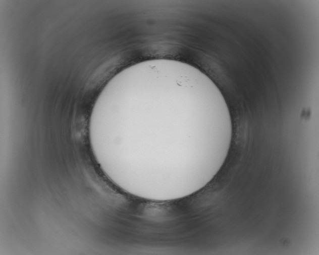 X0000111650077200908071419