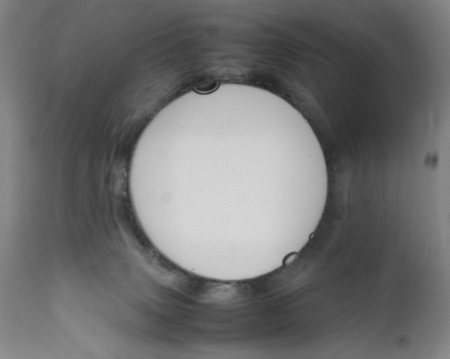 X0000111650083200908071419