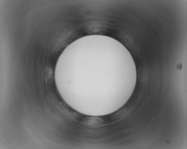 X0000111650087200908071419