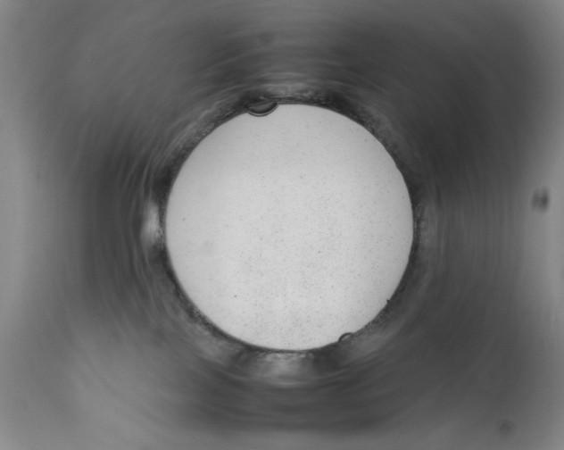 X0000111650089200908071419