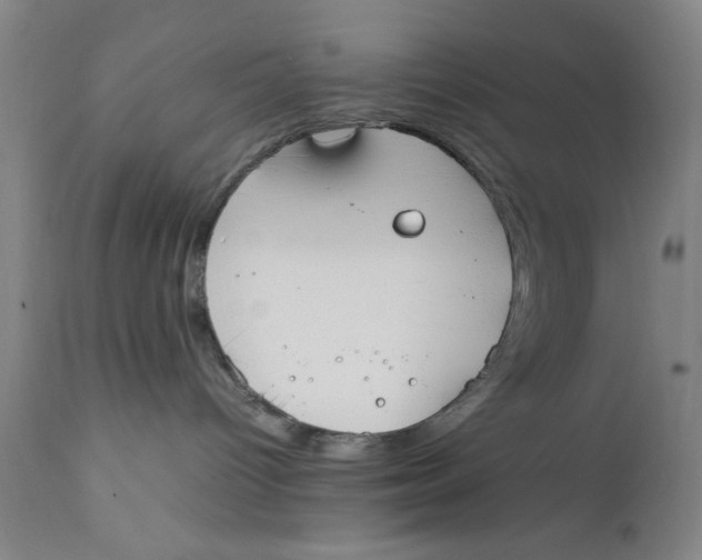 X0000111650096200908071419