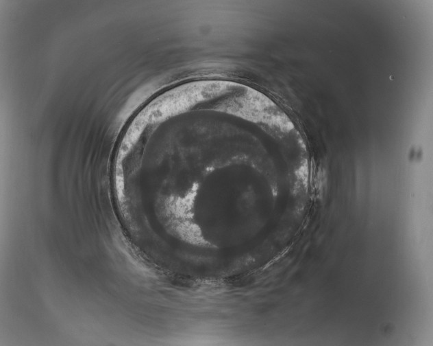 X0000111650099200908071418