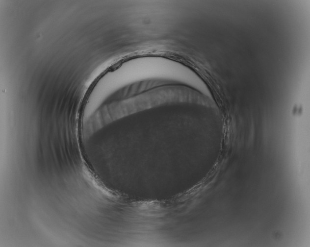 X0000111650100200908071418