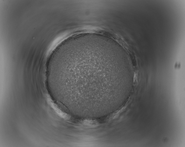 X0000111650101200908071418