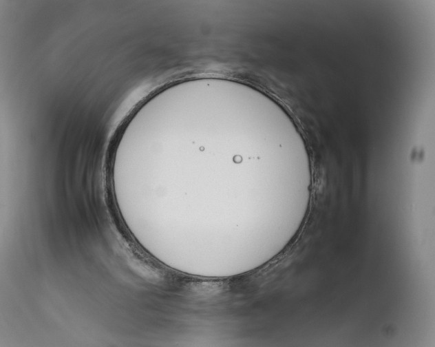 X0000111650102200908071418