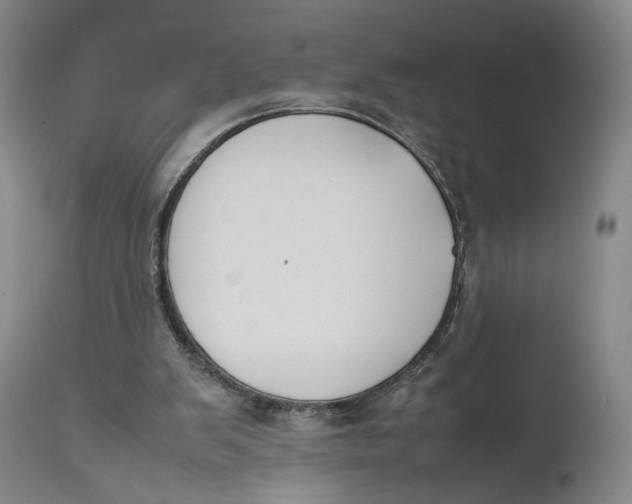 X0000111650103200908071418