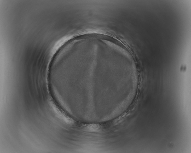 X0000111650104200908071418