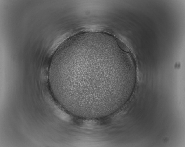 X0000111650105200908071418