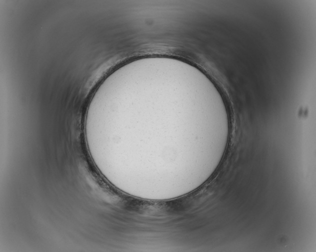 X0000111650107200908071418