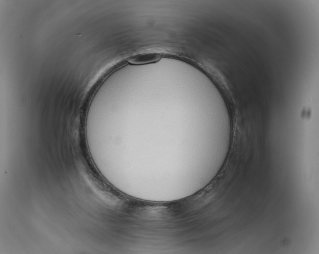 X0000111650108200908071418