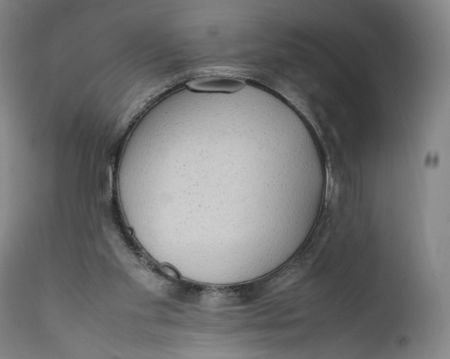 X0000111650109200908071418