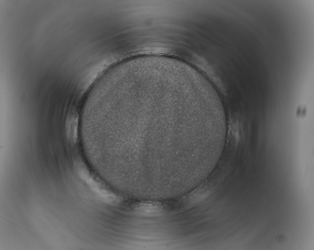 X0000111650110200908071418